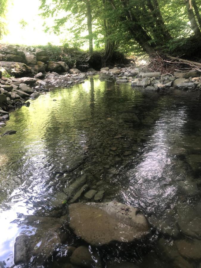 Casa Nel Bosco, Appennino Tosco Emiliano Daire Camugnano Dış mekan fotoğraf